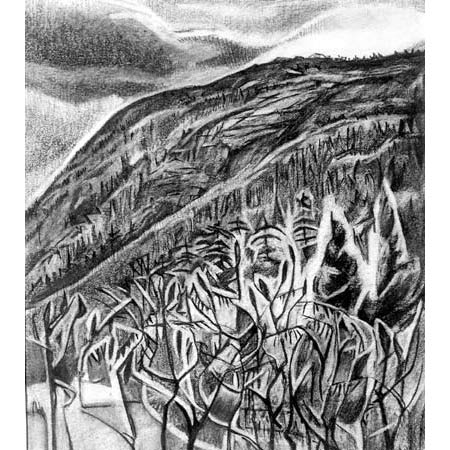 Mountain Side | charcoal, 10x8in, 1998