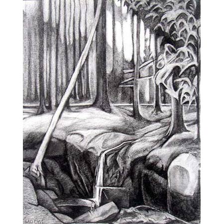 Waterfall | charcoal, 10x8in, 1998