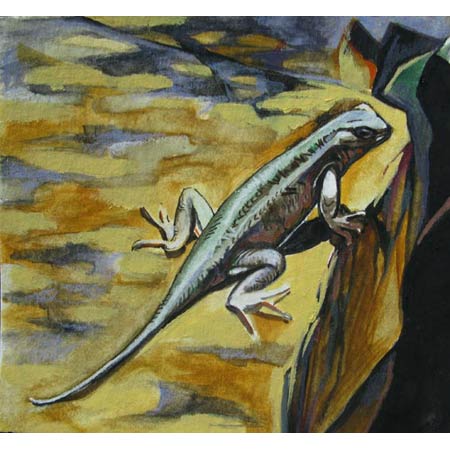 Lizard &nbsp;&nbsp;&nbsp;|&nbsp;&nbsp;&nbsp;watercolor/paper, 5x5in, 2008