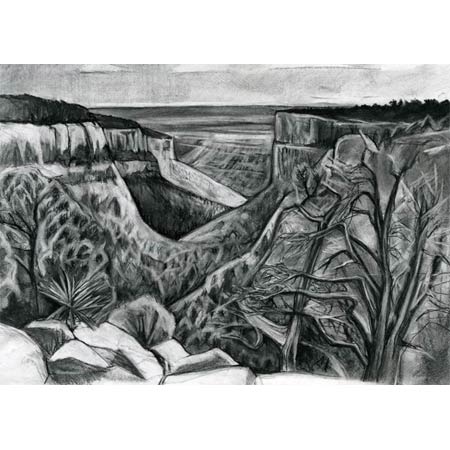 Fire Trees &nbsp;&nbsp;&nbsp;|&nbsp;&nbsp;&nbsp;charcoal/paper, 14x17in, 2008