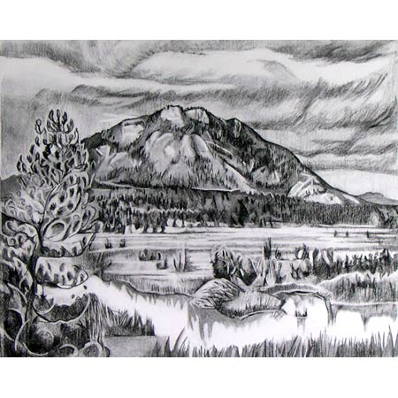 Beaver Housen&nbsp;&nbsp;&nbsp;|&nbsp;&nbsp;&nbsp;charcoal/paper, 18x24in, 1993