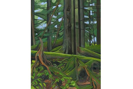 Rainforest &nbsp; &nbsp; &nbsp; | &nbsp; &nbsp; &nbsp; Oil/Canvas, 14x11in, 2014
