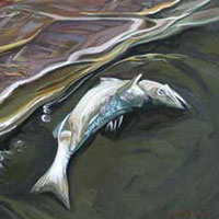 Poison Sea |   Oil/Canvas, 20x24in, 2013